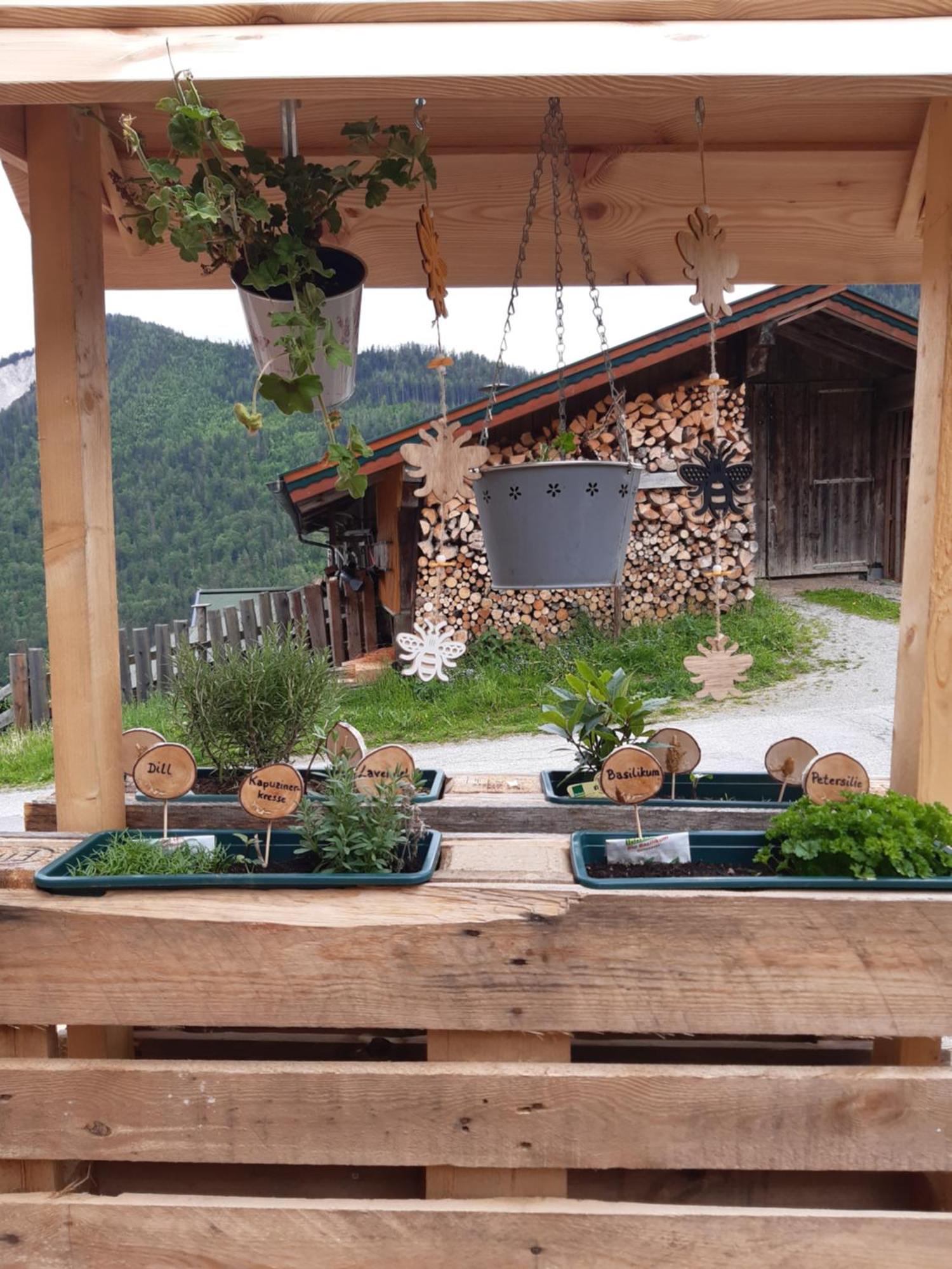 Ferienhaus Lechnerhof Шладминг Екстериор снимка